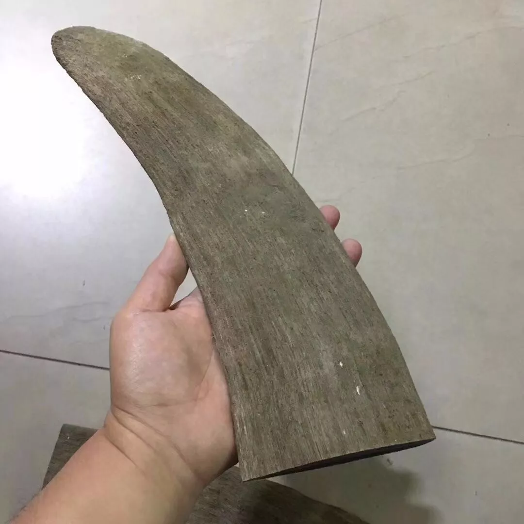 披毛·犀牛角,到底什么来头? 披毛·犀牛角,到底什么来头?