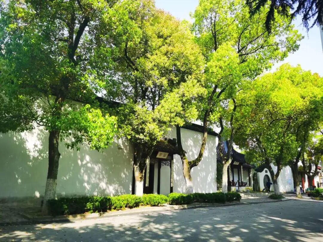 苏州市第六中学校80周年校庆标识征集启事 吉祥物 标识 包装 海报