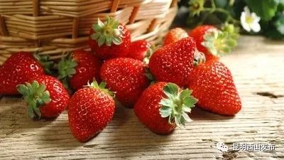 小草莓种出大产业农民致富“开心果”!