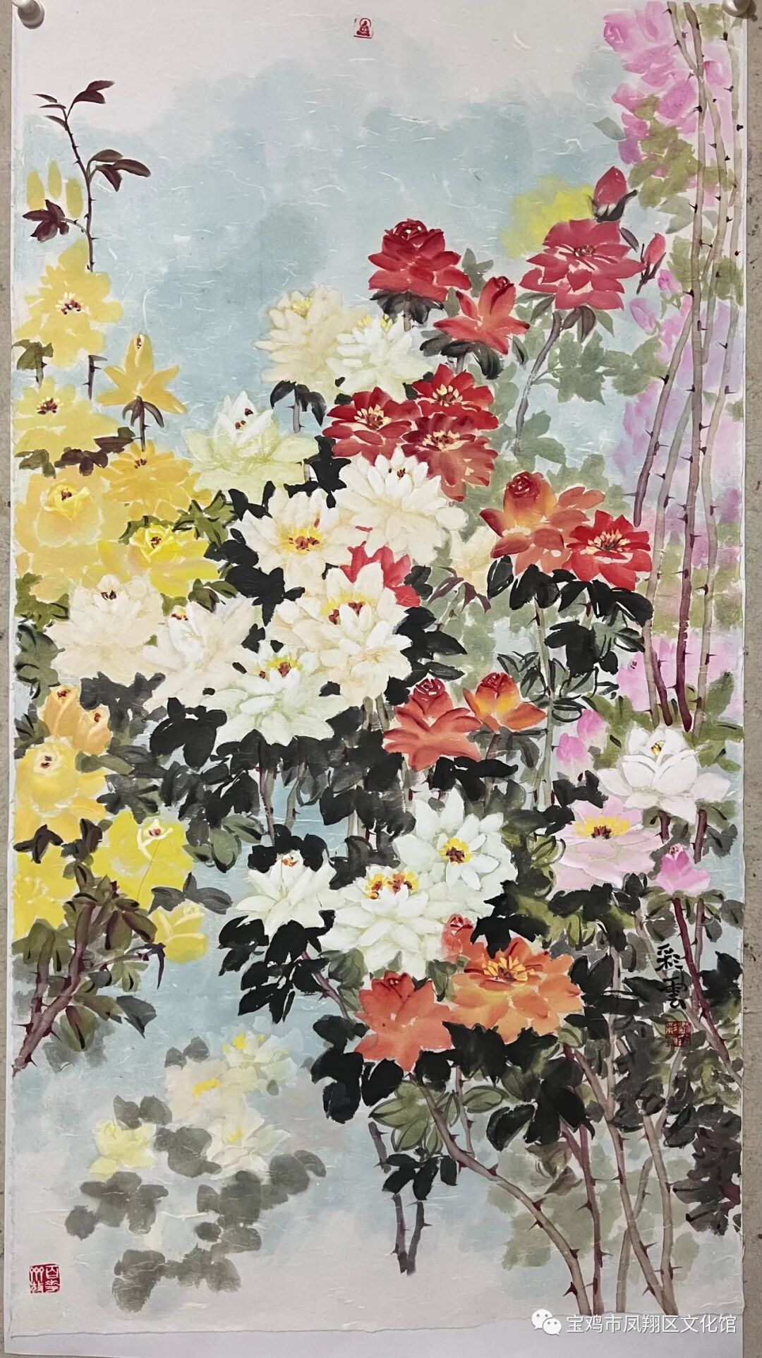 图片