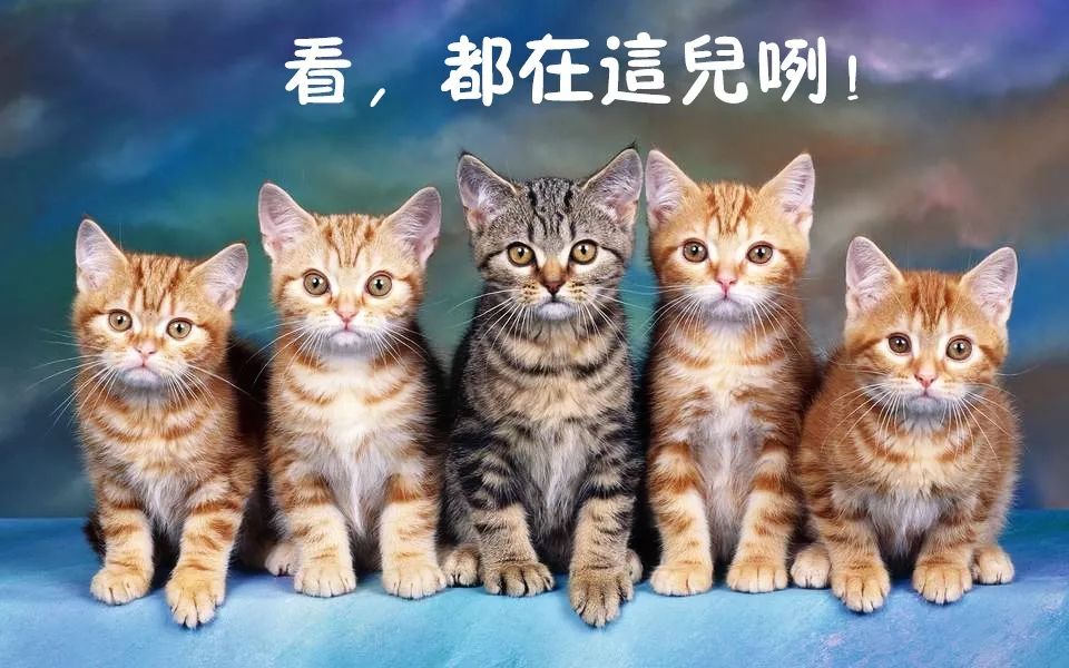 鐵盒包裝印刷|這么多包裝印刷材料，你不一定都知道？