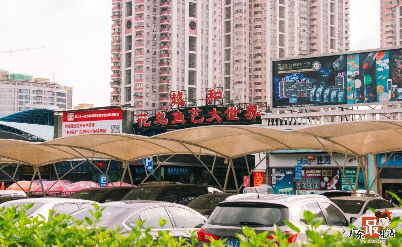6月29日,万科豪掷551亿拿下广州荔湾区芳村花地湾地块,其中就包括广州