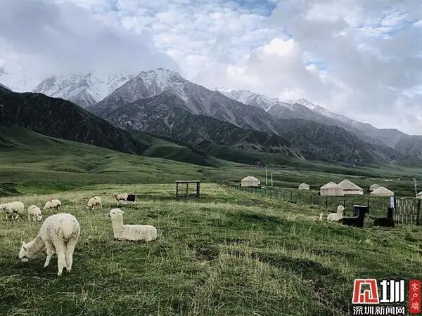 和田昆仑山大峡谷：雪山下的避暑胜地