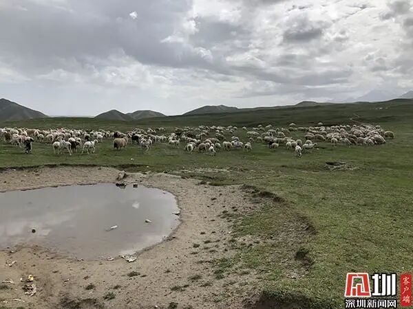 和田昆仑山大峡谷：雪山下的避暑胜地