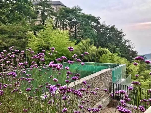 标准游泳池的长宽是多少_游泳池的宽度_游泳池长宽高