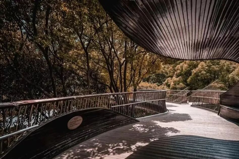 ���ݺ�8�������µر꣬2021�ش򿨣�