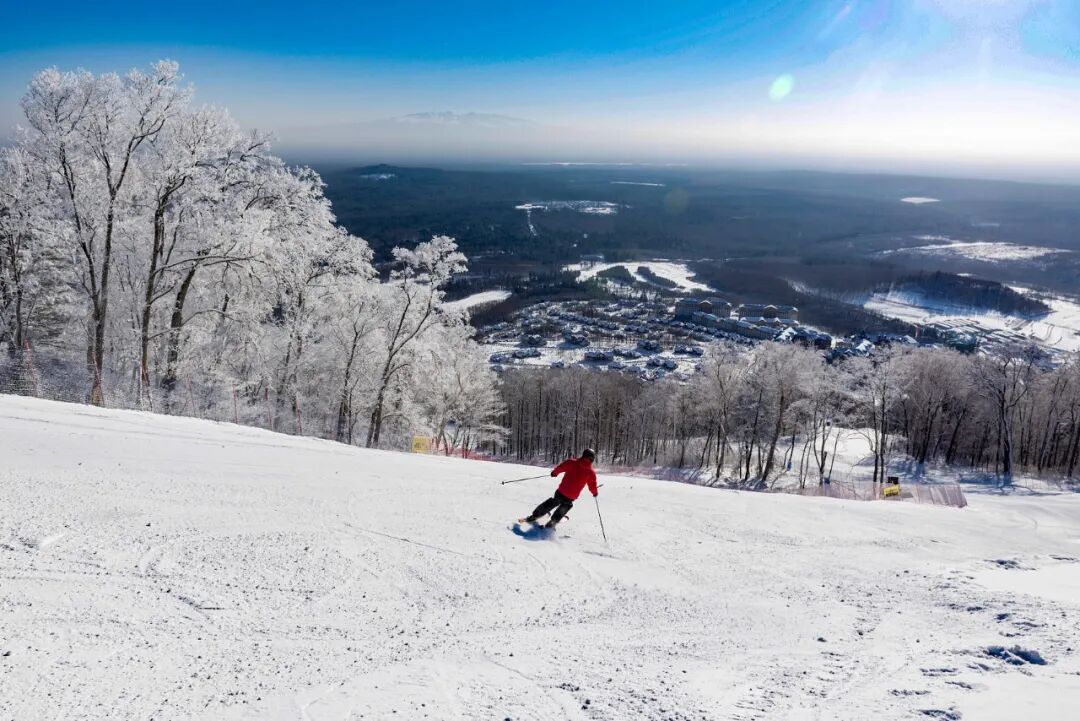 ȫ����ѩ��ȫ�������ˣ�������һ�꣡