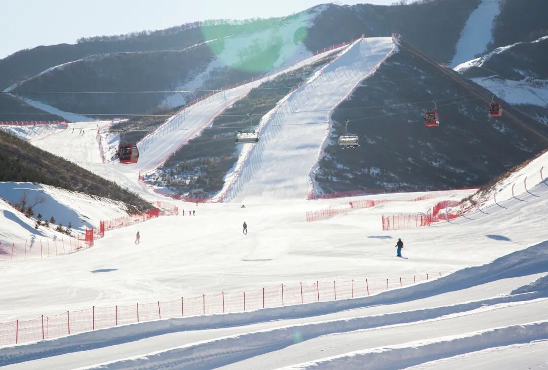 ȫ����ѩ��ȫ�������ˣ�������һ�꣡