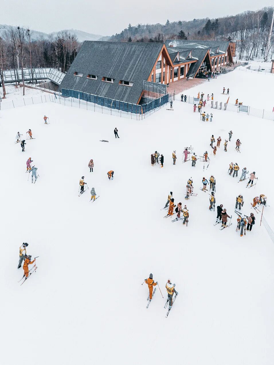 ȫ����ѩ��ȫ�������ˣ�������һ�꣡