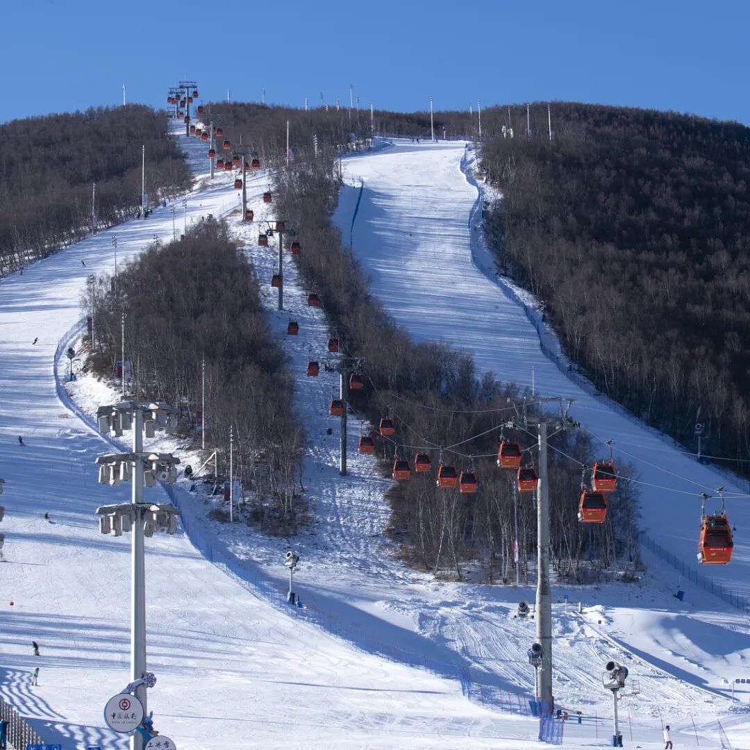 ȫ����ѩ��ȫ�������ˣ�������һ�꣡