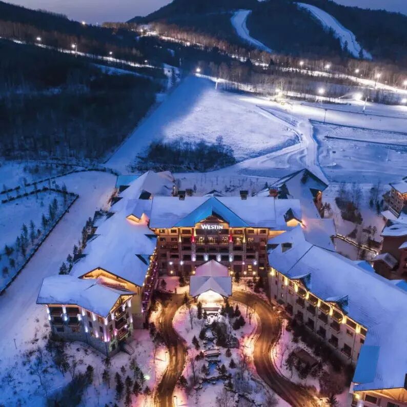 ȫ����ѩ��ȫ�������ˣ�������һ�꣡