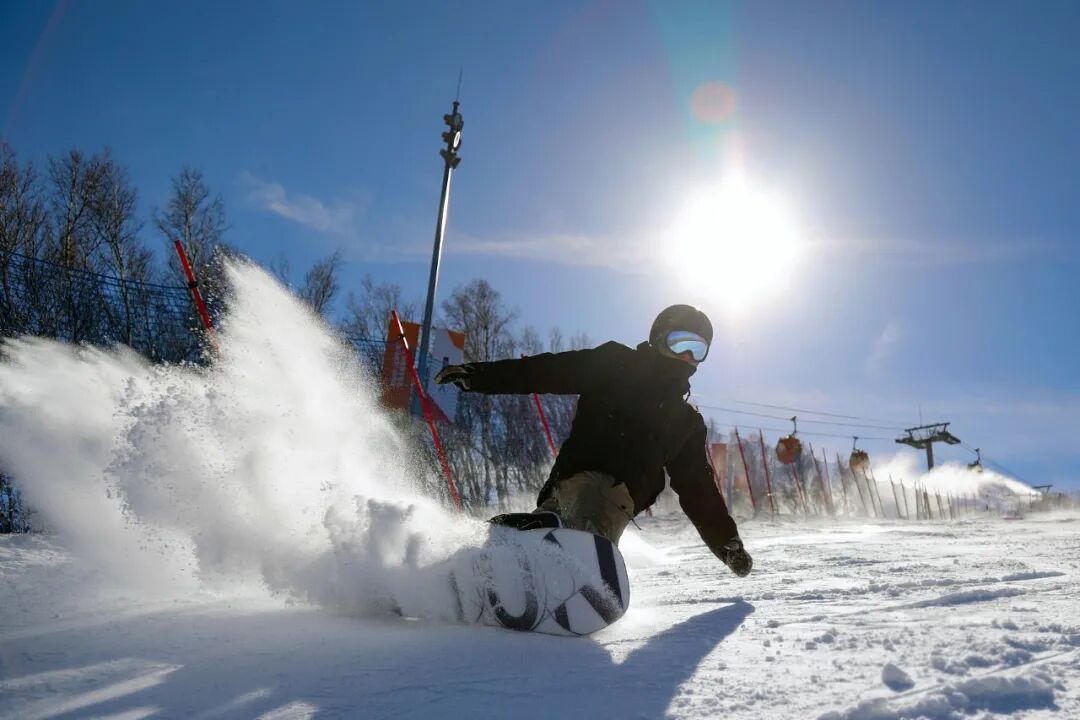 ȫ����ѩ��ȫ�������ˣ�������һ�꣡