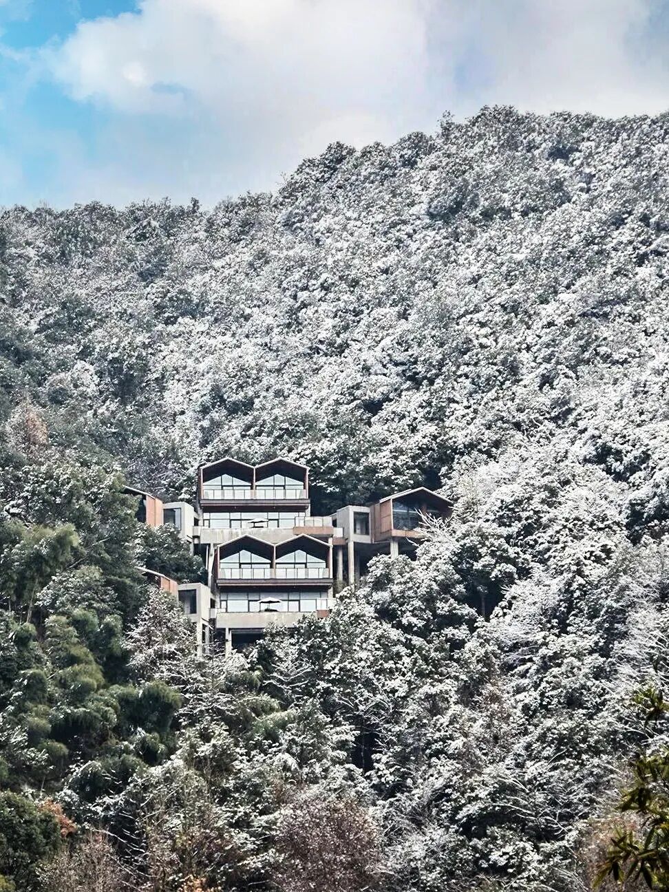 ȫ����ѩ��ȫ�������ˣ�������һ�꣡