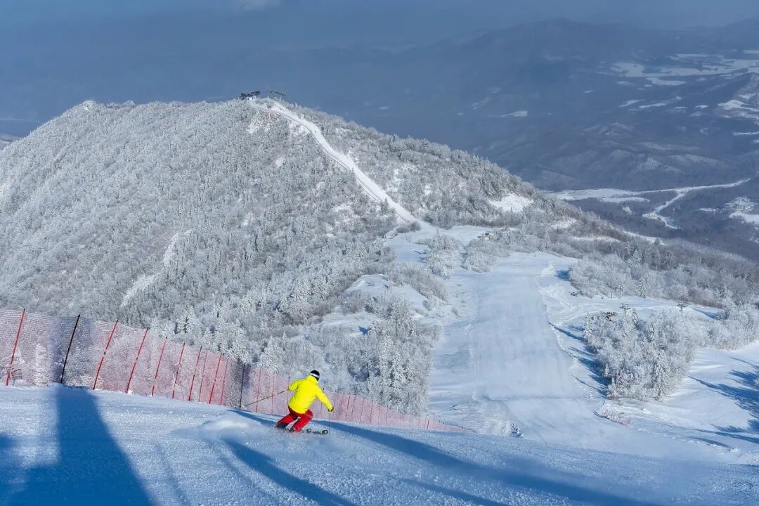 ȫ����ѩ��ȫ�������ˣ�������һ�꣡