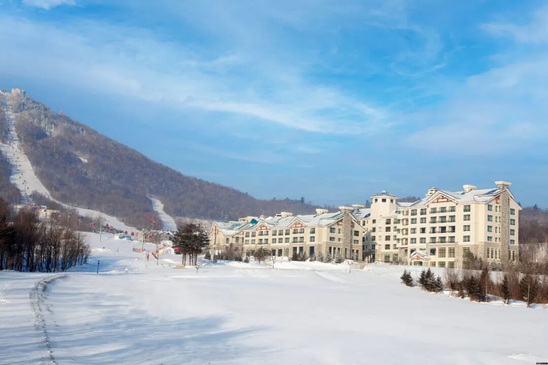 ȫ����ѩ��ȫ�������ˣ�������һ�꣡