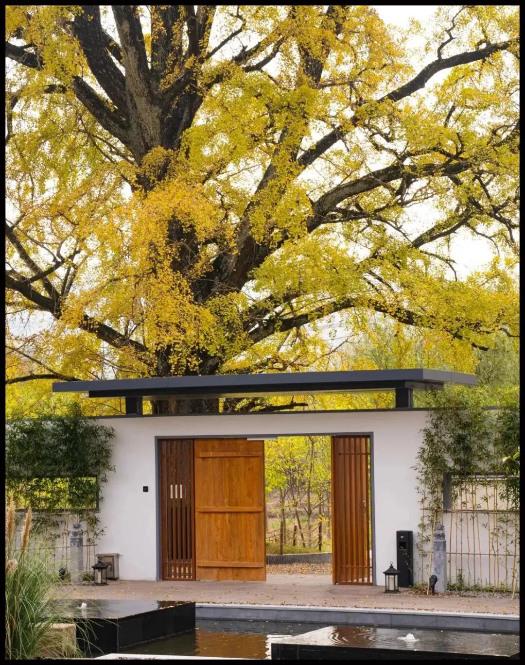 �����ѡ�����ڿ��ã������Լ۱ȳ����������ˣ�