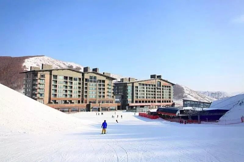 ȫ����ѩ��ȫ�������ˣ�������һ�꣡