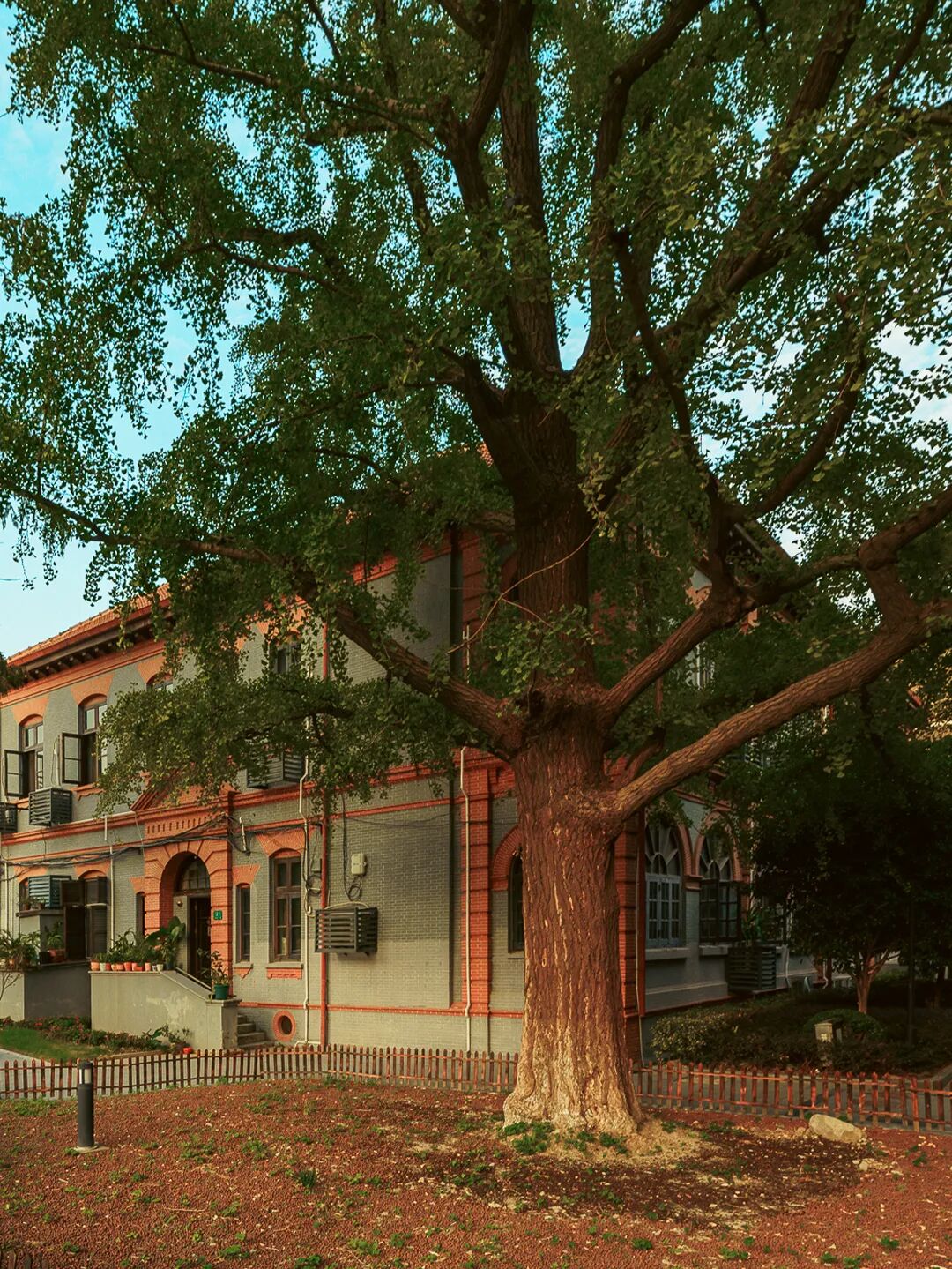 ���ݺ�8�������µر꣬2021�ش򿨣�