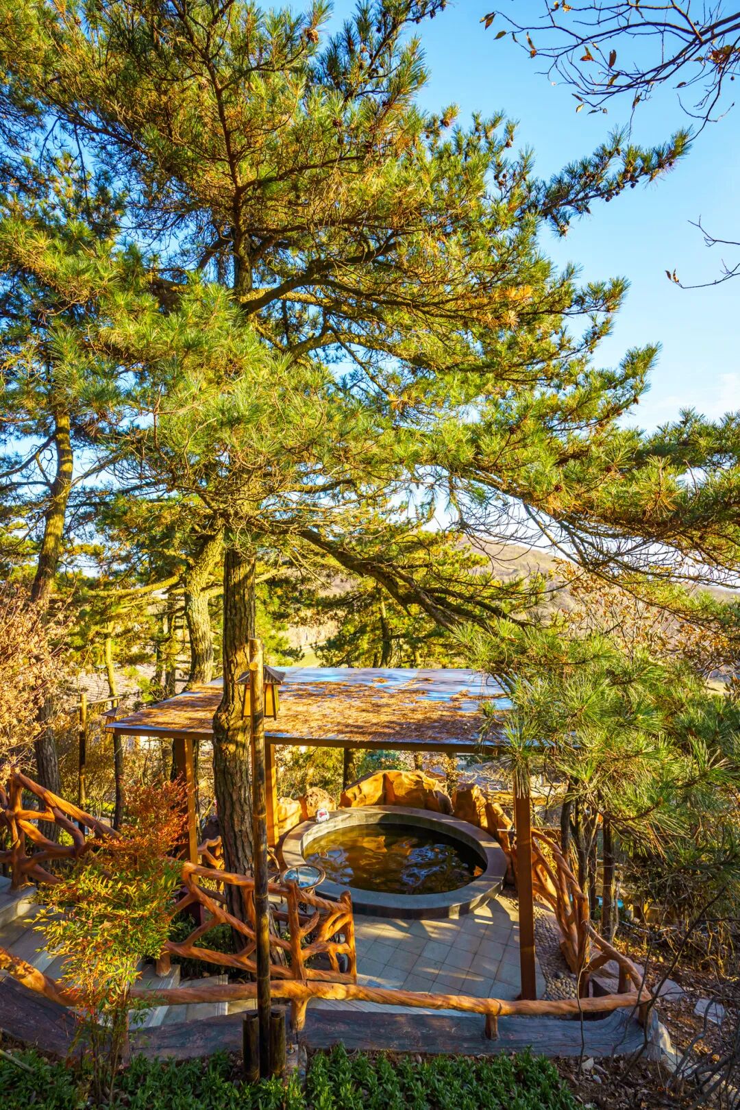 ȫ����ѩ��ȫ�������ˣ�������һ�꣡