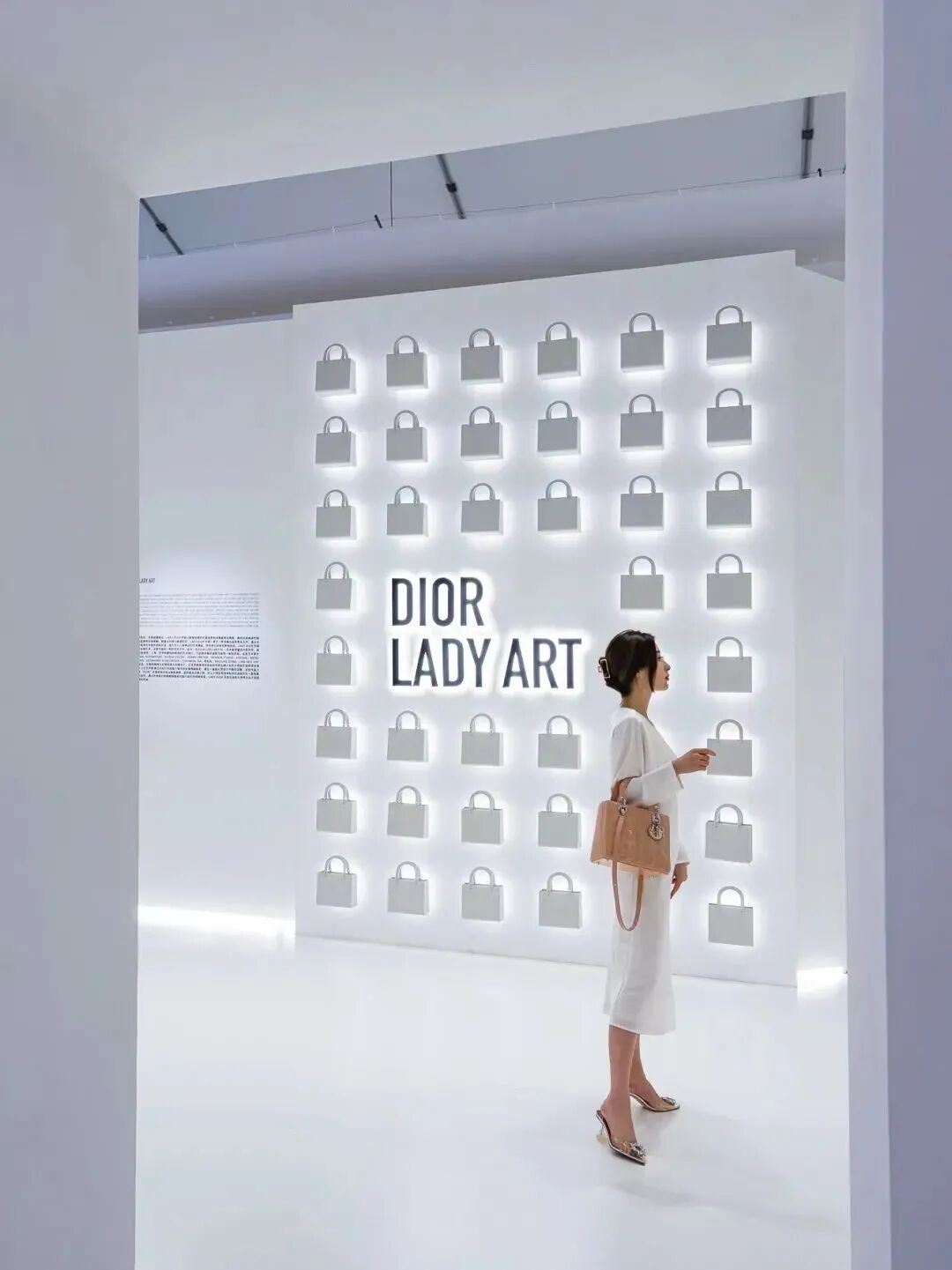 ���Ⱦ�͸��DIOR������չ���տ�Ļ��