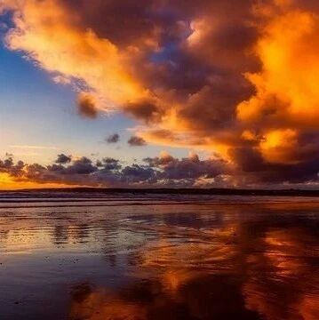 在十二星座中，狮子座很容易情绪化吗？