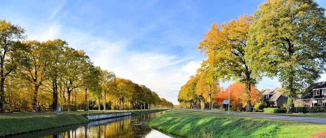 狮子座相当优秀，却很容易自我否定