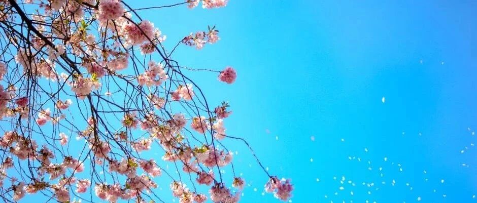 狮子座骨子里的好强你了解多少？