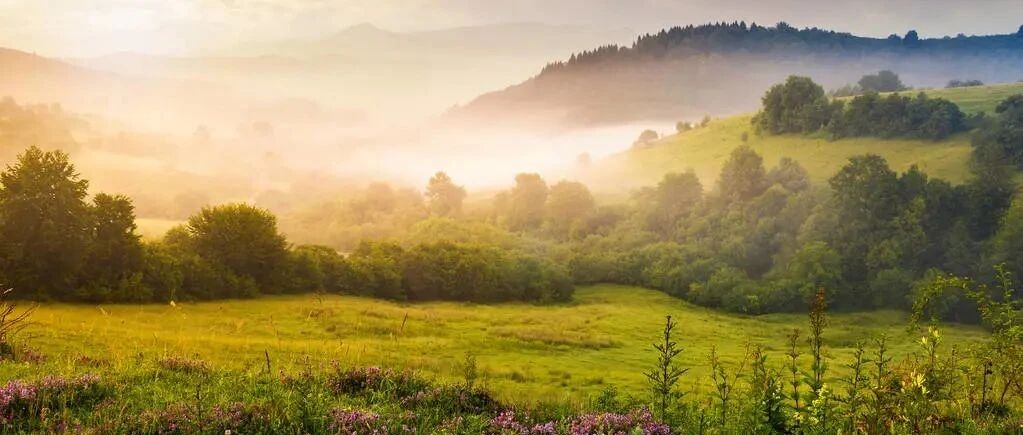 狮子座在恋爱中有哪些小心思？