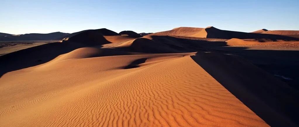 狮子座独立骄傲，誓死捍卫的到底是什么