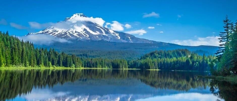 这样的狮子座不得不让人信服