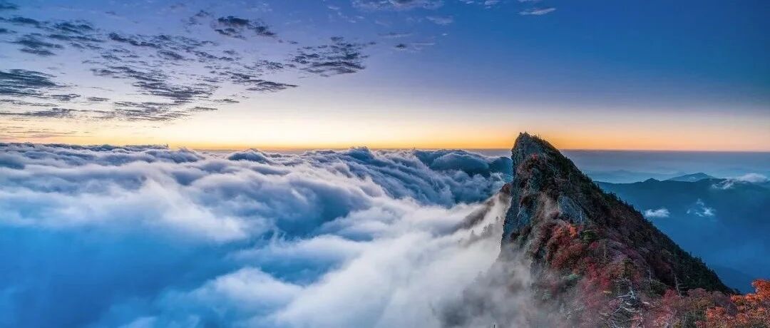 到底有多少人去仰仗着狮子座亲们