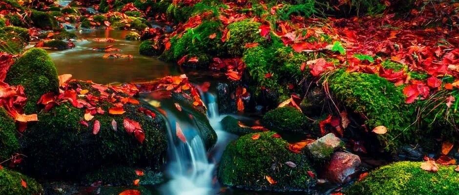 狮子座男生到底被谁吸引了呢？