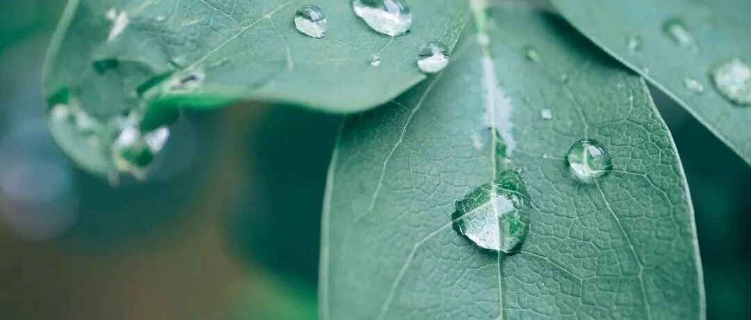 狮子座会把哪些事情扛在肩上？