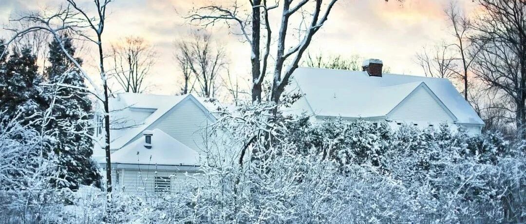 狮子座对待旧爱的态度？