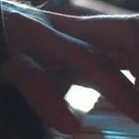 为什么说狮子座最让人一见钟情