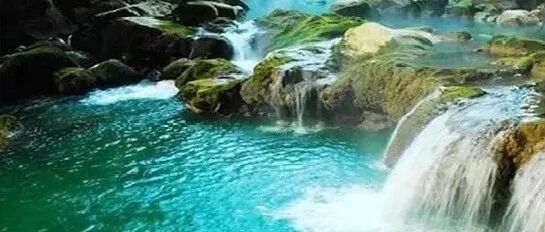 狮子座在任何时候都不会失去自我吗？