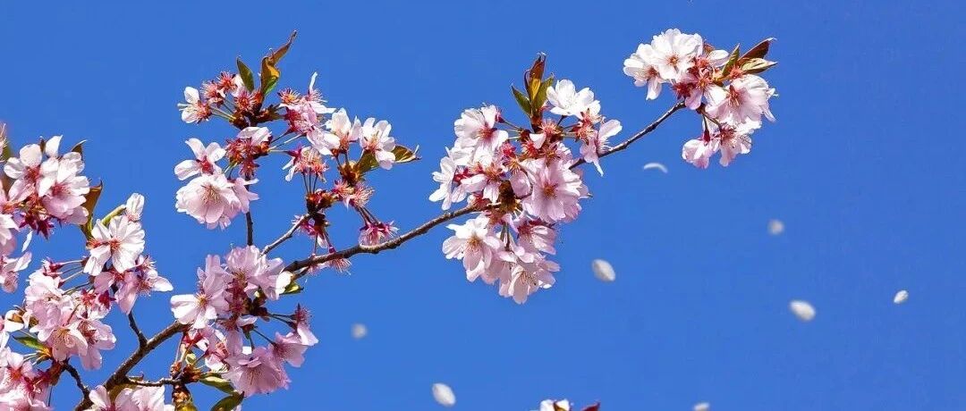 射手女最想睡的星座都有谁呢？