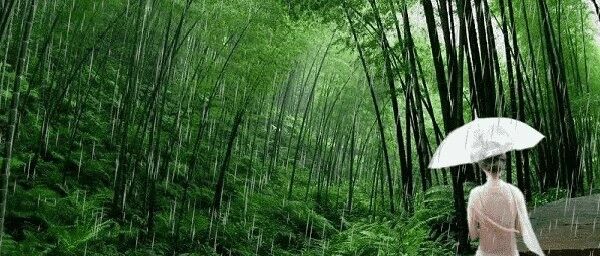魅力十足，总让异性青睐的狮子座女生