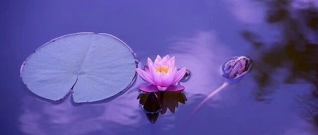 狮子座真的拥有招惹“小三”潜力啊？