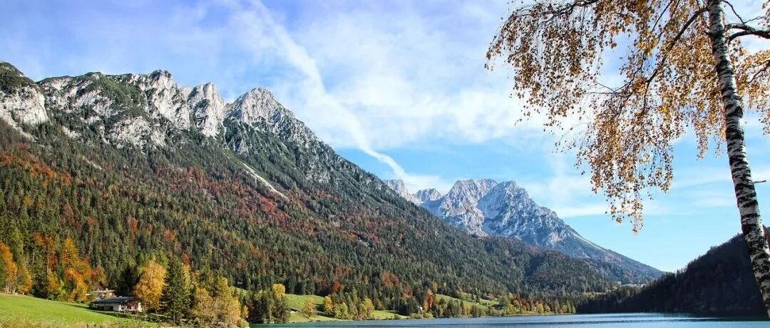 爱情中，狮子座不会放弃的原则是什么？