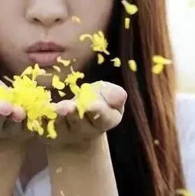 狮子座喜欢什么样的人？