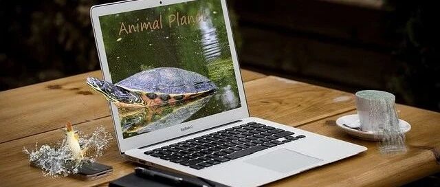 狮子座：一个地地道道的王者