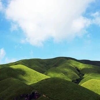 狮子座的自尊心到底有多强？