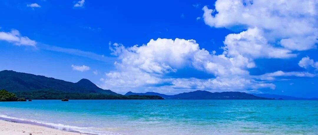 你有看到是狮子座身上的奴性吗？