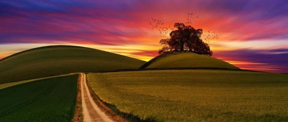 到底什么样的人才能走进狮子座的人生？