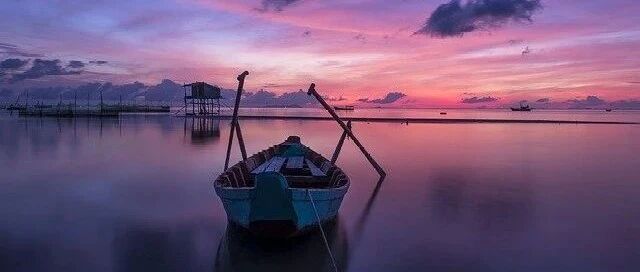 狮子座狼性的一面一直都在不断成长对吗？