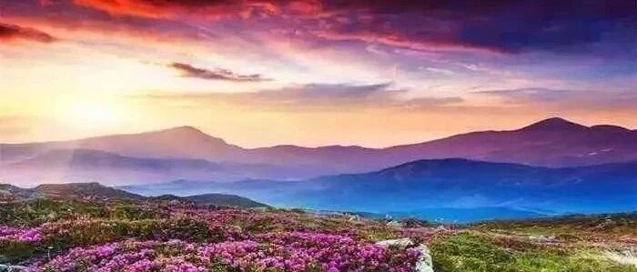 这样的狮子座真的很让人羡慕啊！