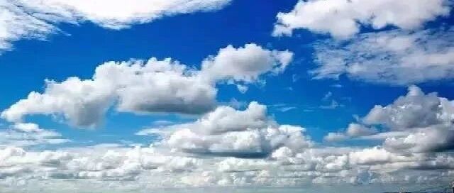 狮子座其实真的很累的......