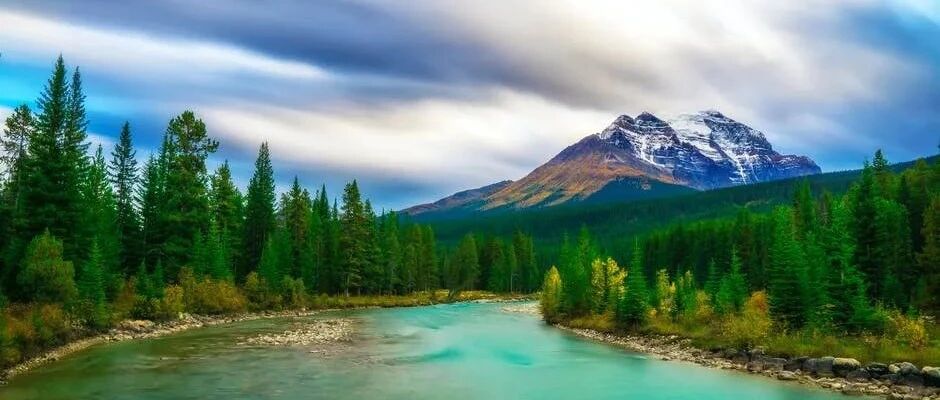 狮子座的真情，隐藏在哪些细节里？