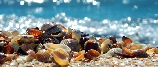 面对让自己心动的爱情，会快速进入婚姻的金牛座